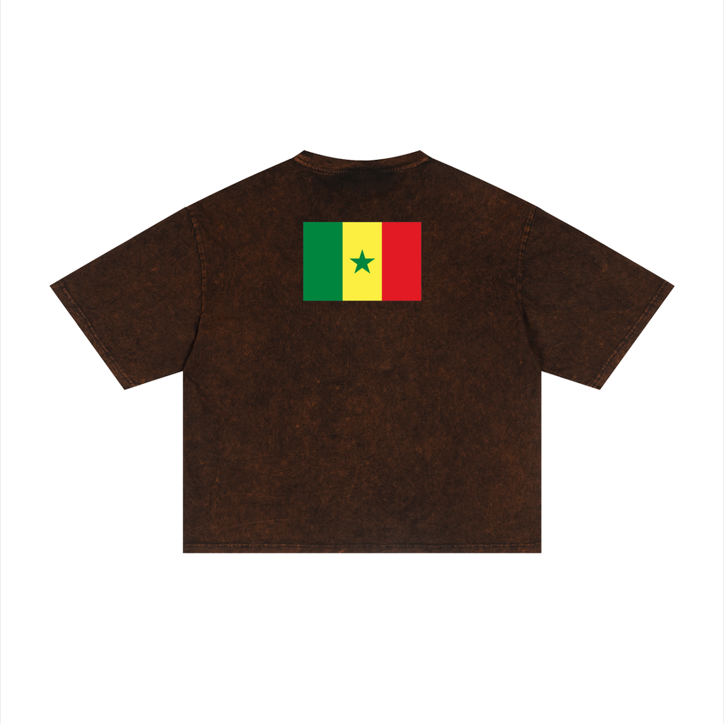 Senegal Unisex Mineral Wash Boxy T-Shirt