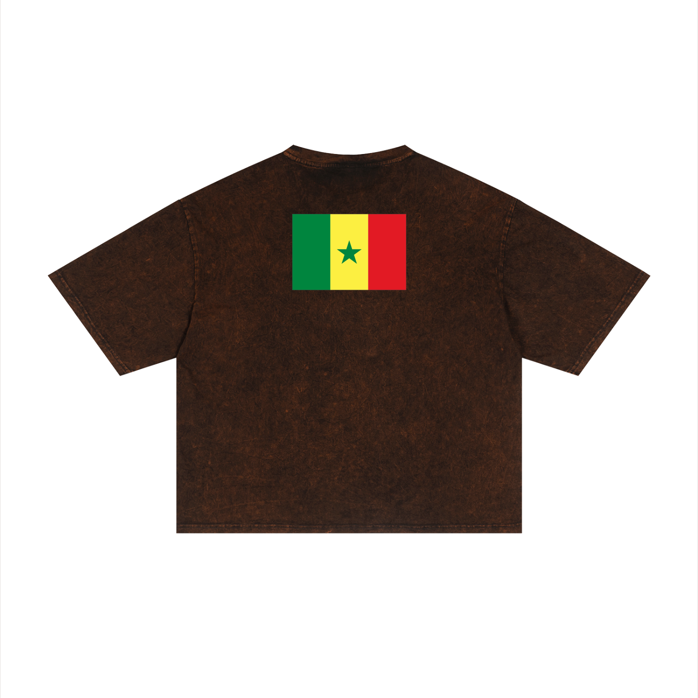 Senegal Unisex Mineral Wash Boxy T-Shirt