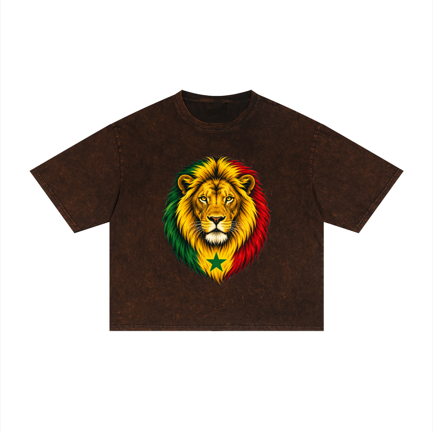 Senegal Unisex Mineral Wash Boxy T-Shirt