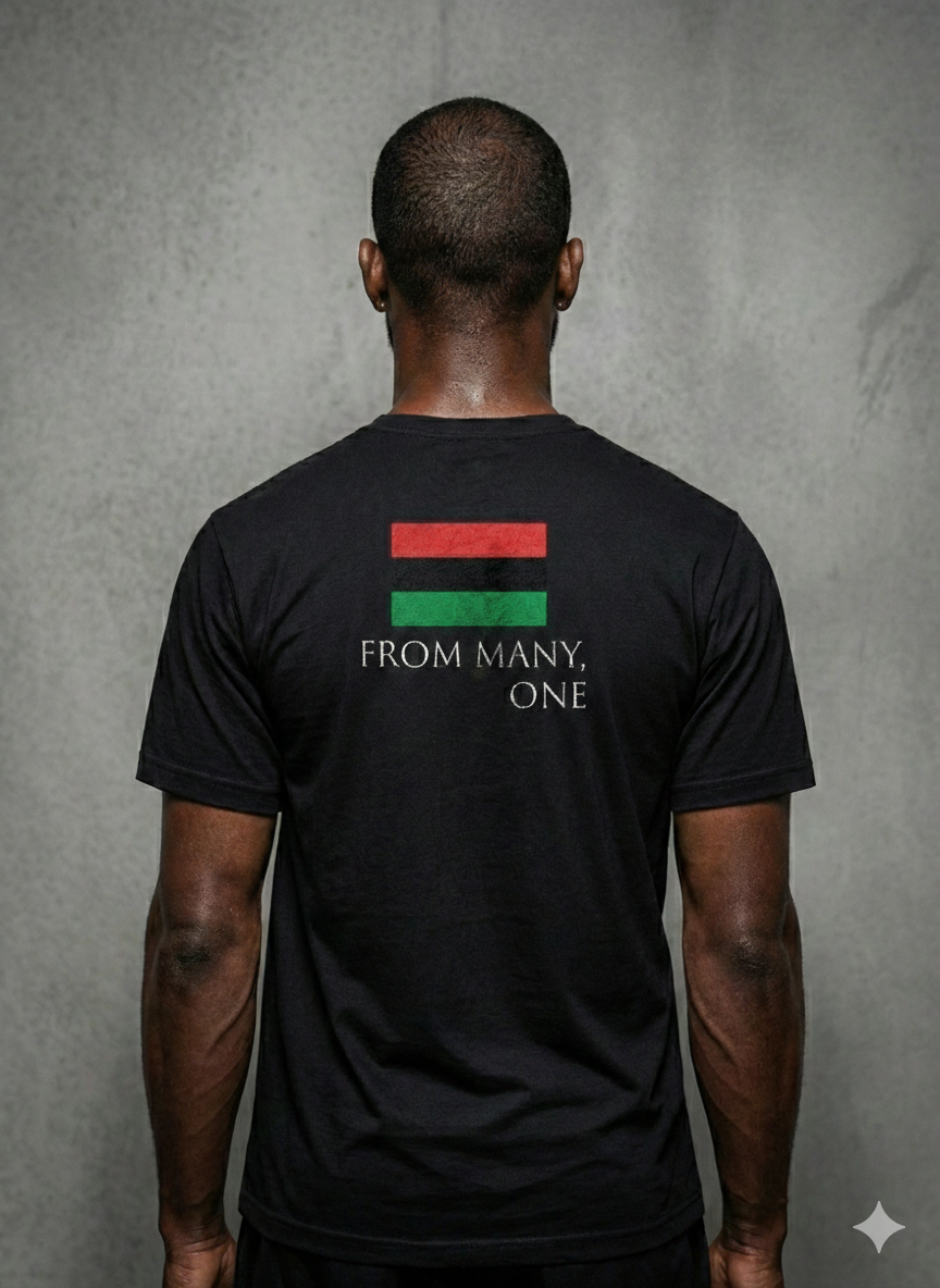 From Many, One T-shirt