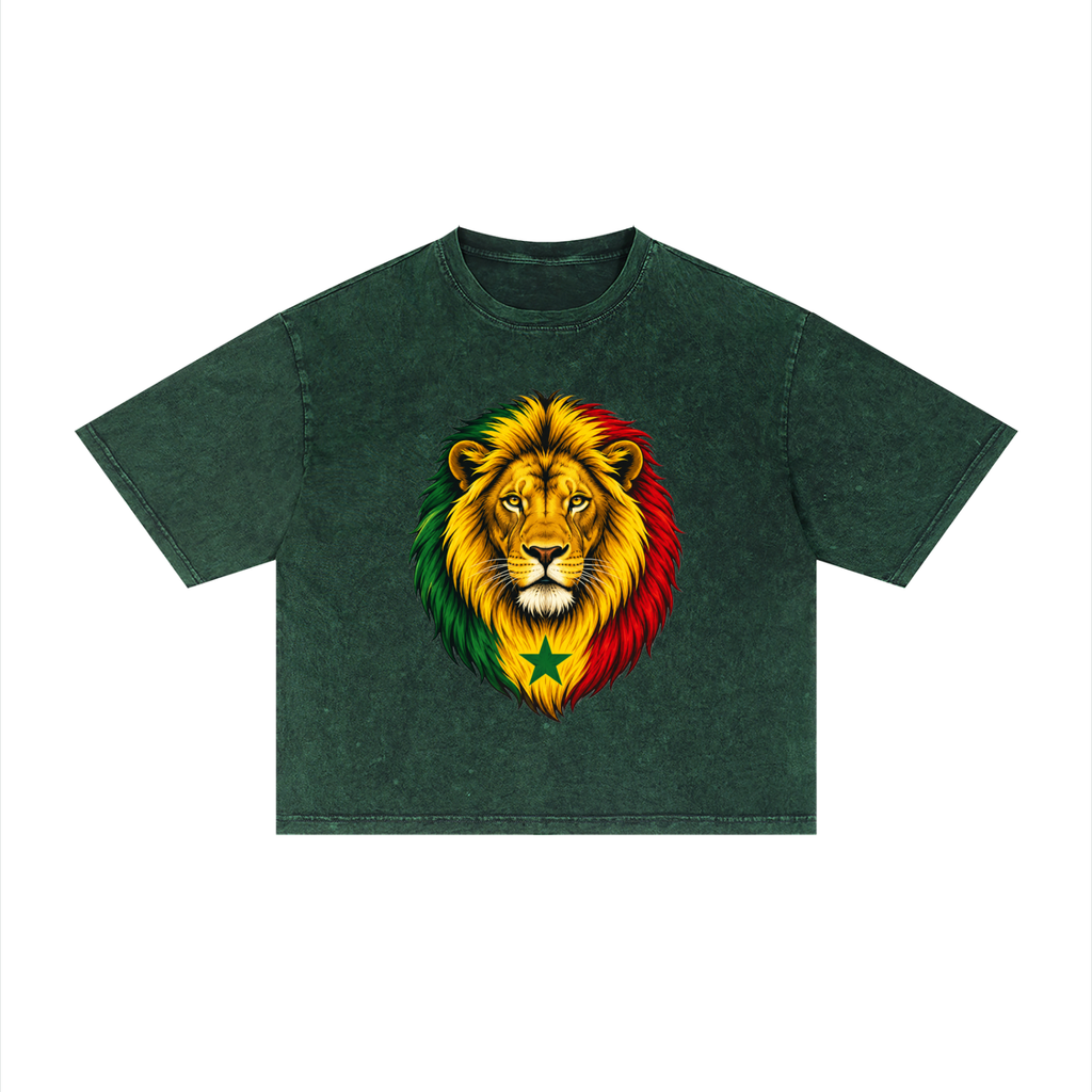 Senegal Unisex Mineral Wash Boxy T-Shirt