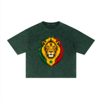 Senegal Unisex Mineral Wash Boxy T-Shirt