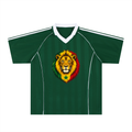 Senegal Stripe Collared Soccer Jersey