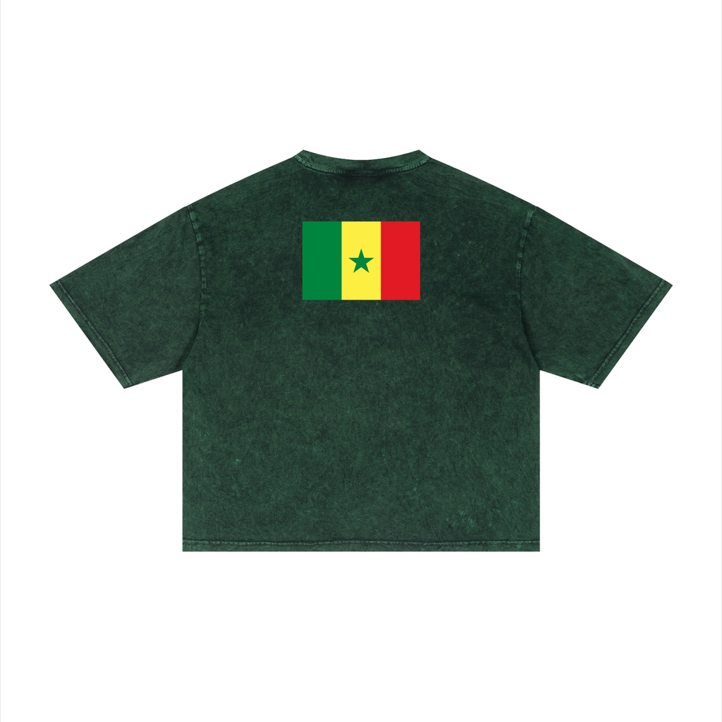 Senegal Unisex Mineral Wash Boxy T-Shirt