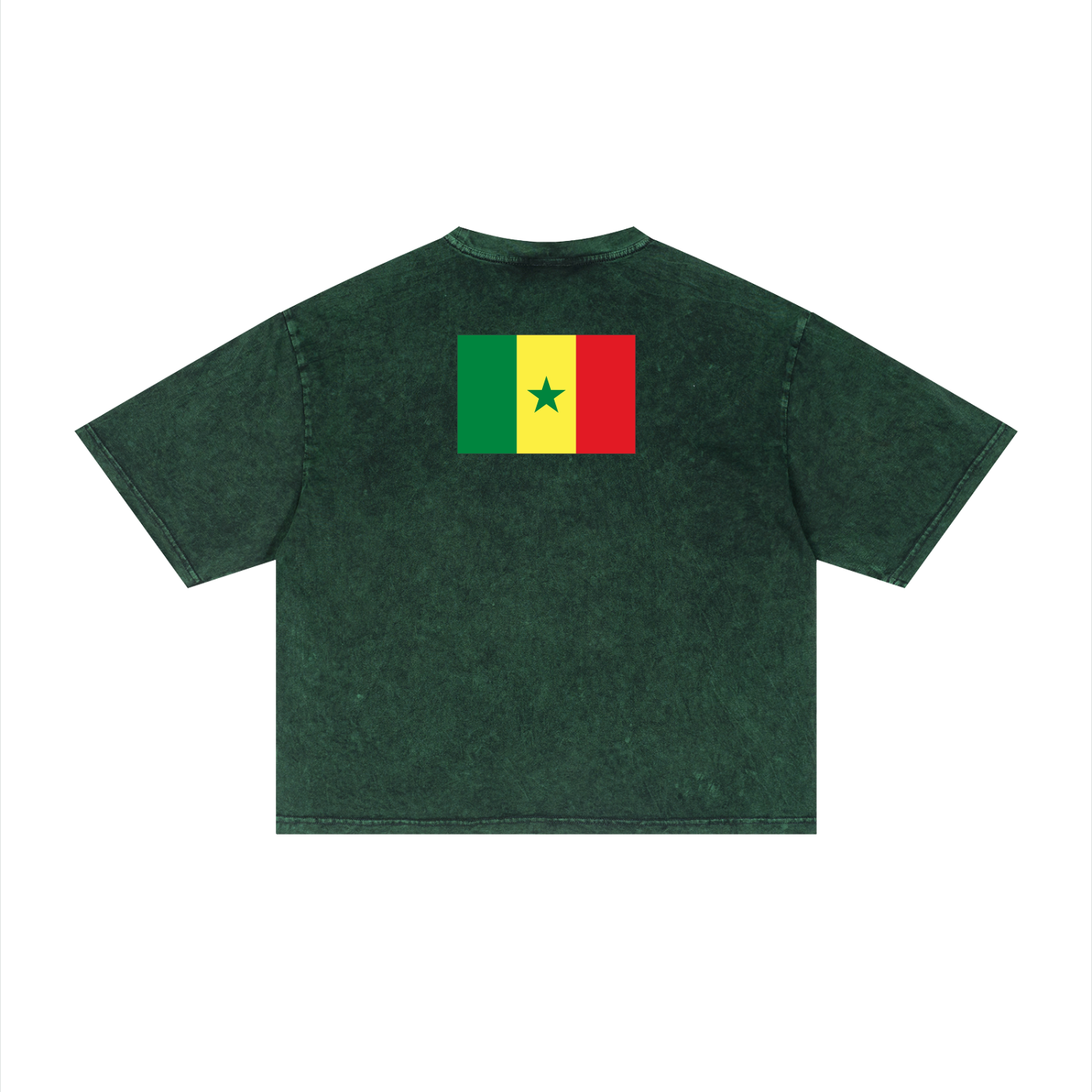 Senegal Unisex Mineral Wash Boxy T-Shirt